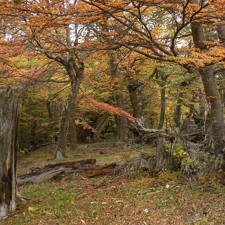 Hotel Posada Las Lengas Veintiocho de Noviembre Zewnętrze zdjęcie